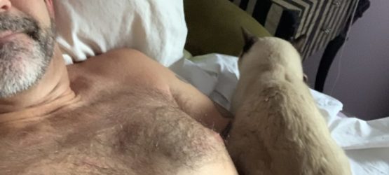Cat on my chest
